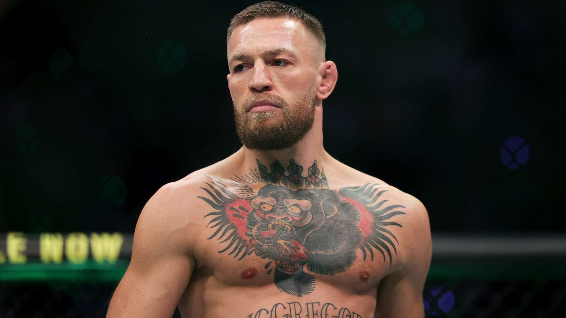 一家以研发 一家以研发