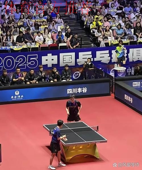 《熊猫说球》第十三集:比赛结果 《熊猫说球》第十三集:比赛结果